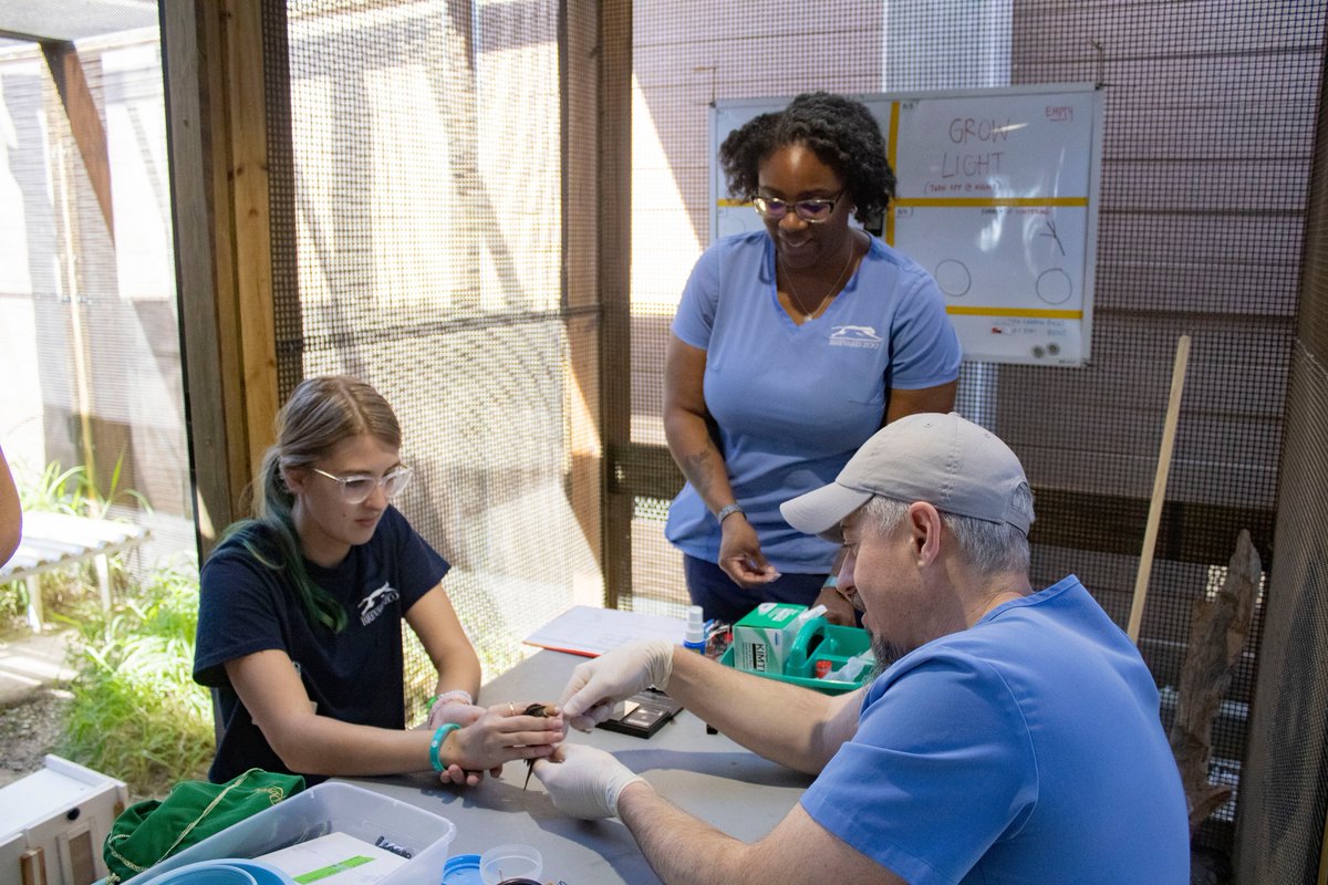 BrevardZoo tweet picture