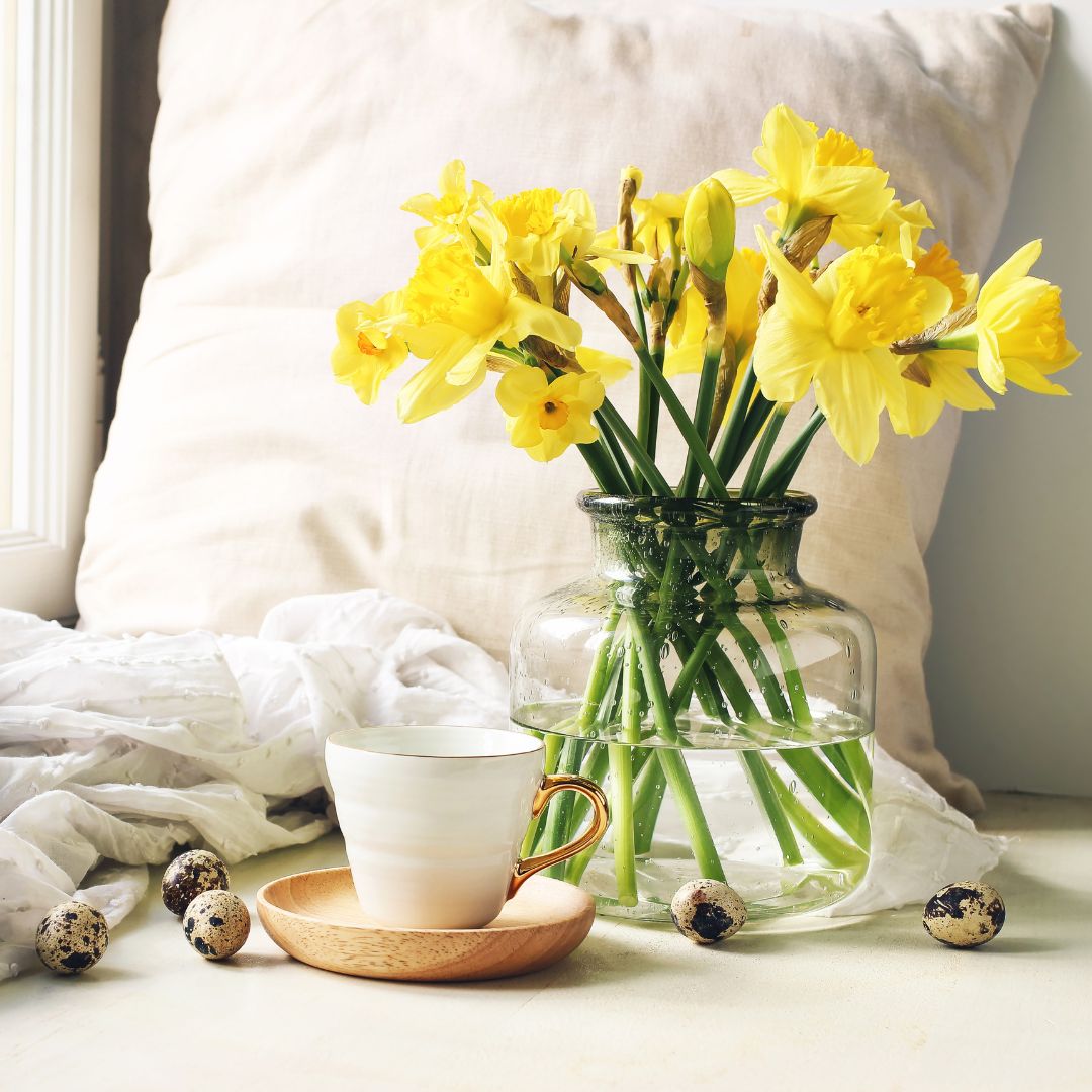 Want to know how to make your #daffodils last longer in a vase? We've got five tips from the experts on how to keep their sunny blooms bright for longer: ow.ly/IExV50QKOql #SagaMagazine #Saga #ExperienceIsEverything