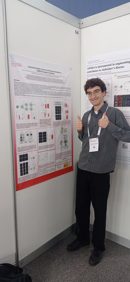Physiology_Lab's tweet image. Hugo Fanlo with his poster about amyloid-beta inducing CaMKIIalpha oxidation.
#ADPD2024