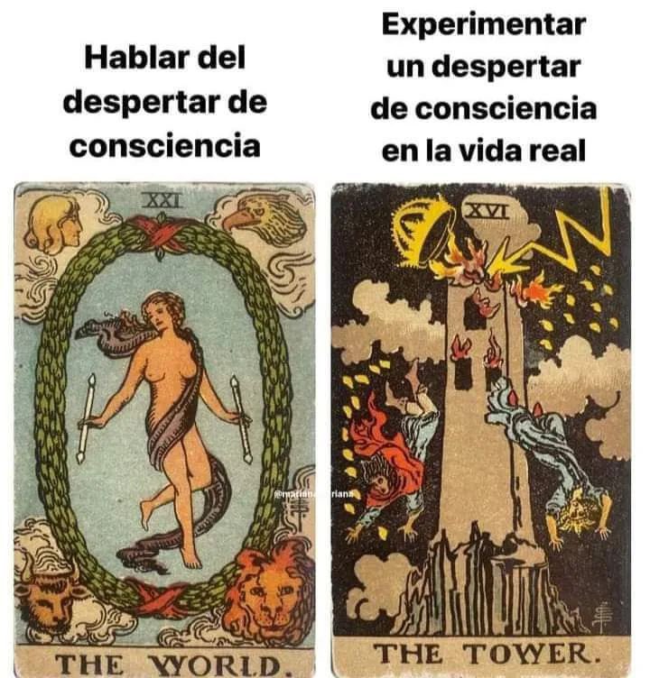 El Maguito tweet media