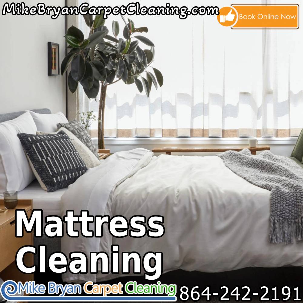 Spring clean your sleep haven! Refresh your mattress for a rejuvenating season ahead. Say goodbye to winter dust and hello to a fresh, cozy bed. 
Call  864-430-1499  or visit mikebryancarpetcleaning.com #greersc #taylorssc #greenvillesc #upstatesc