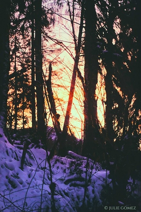 Julie Gomez tweet media