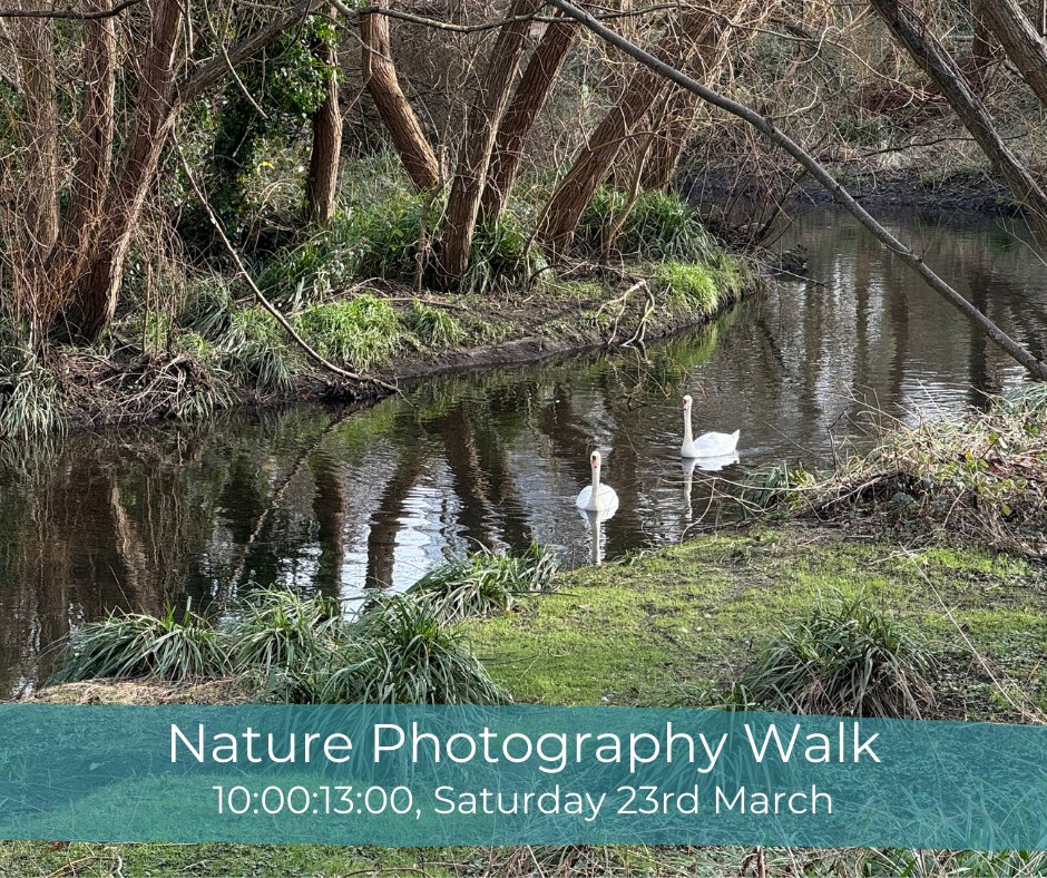 Join us for a photography walk in Deptford! Learn about urban wildlife and habitats with naturalist Nick and photographer Patty. Explore diverse ecosystems, discover hidden gems, and share your snapshots with the world! Tickets: creeksidecentre.org.uk/events/nature-…