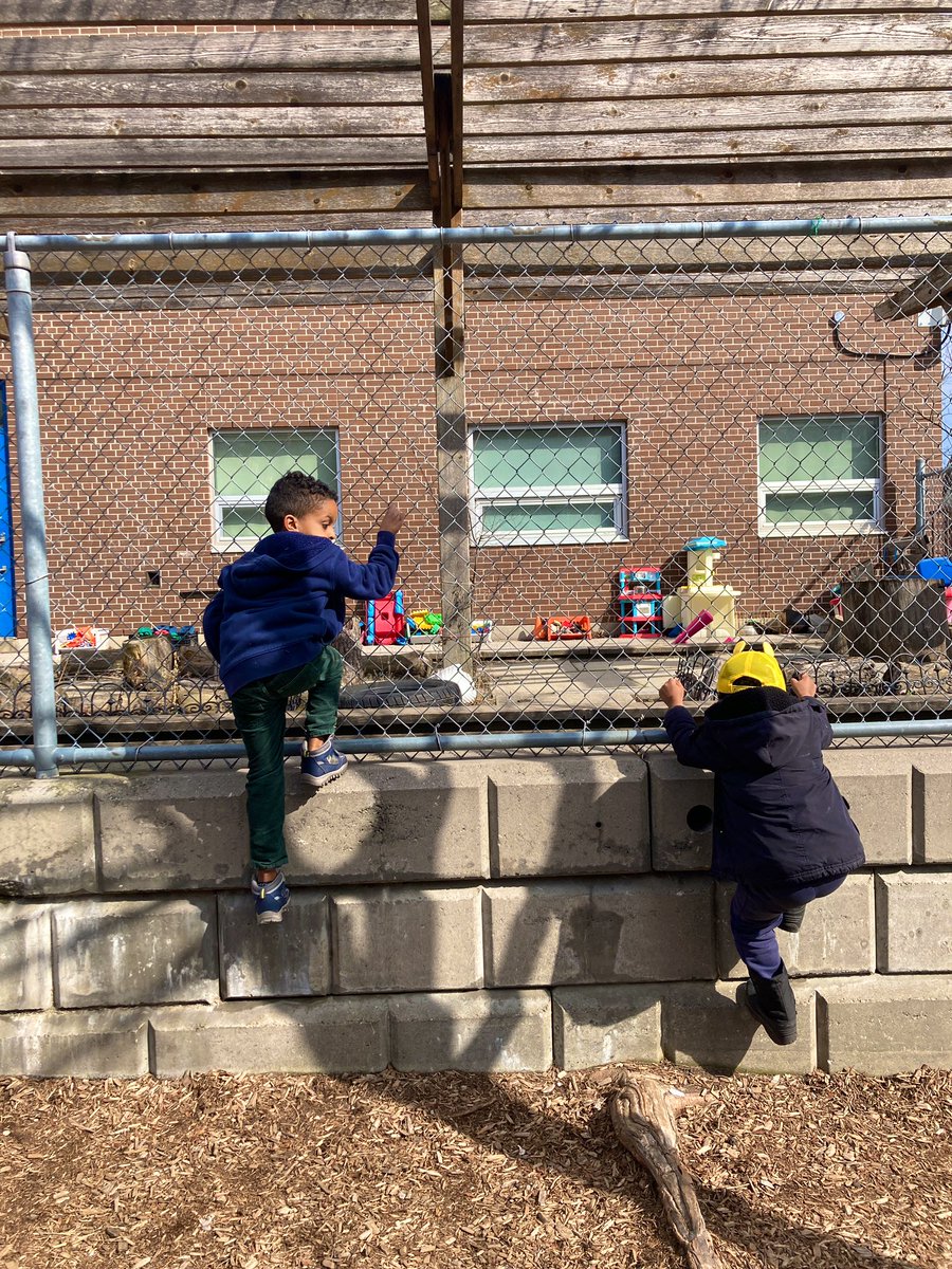 #RiskyPlayVsHazardousPlay!
Risky play in early childhood helps develop a child’s #SelfConfidence, #Resiliency, #RiskManagement, #ExecutiveFunctioningAbilities & so much more! Engaging in risky play can actually reduce the risk of injury! #LetThemPlay #HolyFamilyTCDSB @TCDSB