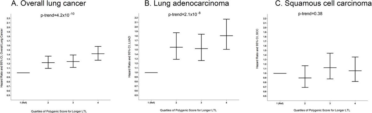 ThoraxBMJ (@thoraxbmj) on Twitter photo Phenotypic and genetically predicted leucocyte telomere length and lung cancer risk in the prospective UK Biobank
thorax.bmj.com/content/79/3/2… <a href="/MohammadLRahma2/">Mohammad L Rahman</a> <a href="/CR_UK/">Cancer Research UK</a> Phenotypic and genetically predicted leucocyte telomere length and lung cancer risk in the prospective UK Biobank
thorax.bmj.com/content/79/3/2… <a href="/MohammadLRahma2/">Mohammad L Rahman</a> <a href="/CR_UK/">Cancer Research UK</a>