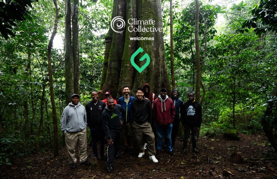 We are excited to announce the @GainForestNow has joined the @clim8collective ! We need $130 billion per year to halt deforestation by 2030, according to the @ETC_energy. Preserving forestland is not only important to maximize the planet’s natural carbon sinks, it also