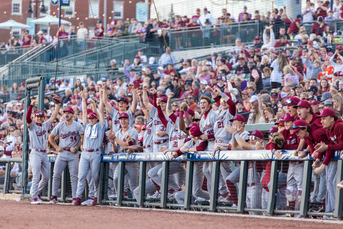 Columbia Fireflies tweet media