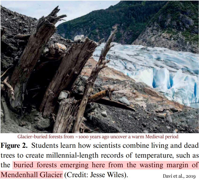 Dr. Matthew M. Wielicki tweet media