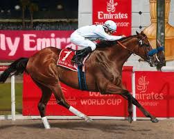 HORSERACING1002's tweet photo. WELL ARMED๐บ๐ธ2003
(TIZNOW - WELL DRESSED BY NOTEBOOK)#WellArmed
B/O Winstar Farm (Ky) Apr 4, 2003. Gelding.
T/ Eoin G. Harty
24-7-4-1---$5,179,803
2009 Hwt older horse 9.5-11f ๐ฆ๐ช
Goodwood S G1, San Antonio H G2, San Diego H G2, Shadwell Farm Trophy, Dubai World Cup G1. https://t.co/gWYKCwPn4Z