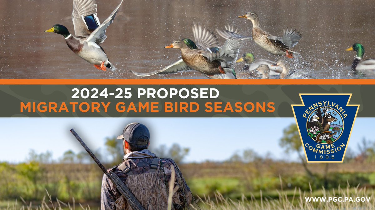 Attn: Waterfowl Hunters. PA’s *PROPOSED* 2024-25 migratory game bird seasons are now LIVE bit.ly/3SSMnDa. Submit your public comments to waterfowlcomments@pa.gov through March 22, 2024.