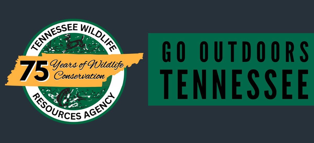 Stay up-to-date with all things outdoors! Join the TWRA email list to receive 75th Anniversary announcements, fishing updates, hunting updates, watchable wildlife info, Tennessee WildCast notifications and so much more. Just visit this link to sign up signup.e2ma.net/signup/1994044….