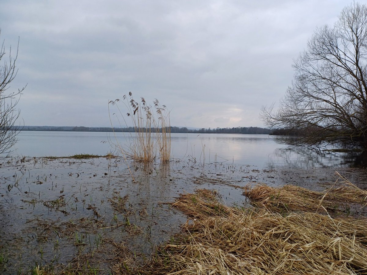 Jan Rod official tweet media