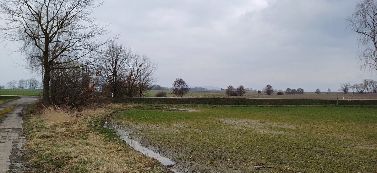 Jan Rod official tweet media