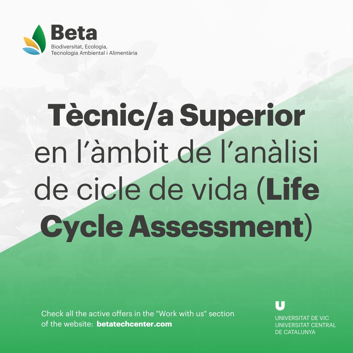 BETA Tech Center (@beta_techcenter) on Twitter photo 📣 ALERTA! Teniu 4⃣ noves oportunitats per a unir-vos a l'equip del <a href="/BETA_TechCenter/">BETA Tech Center</a>!
🔹Participació ciutadana i gestió del risc d’inundacions
🔹Millora i restauració de la salut del sòl
🔹Anàlisi de cicle de vida (Life Cycle Assessment)
⬇️⬇️⬇️
betatechcenter.com/ca/treballa-am… 📣 ALERTA! Teniu 4⃣ noves oportunitats per a unir-vos a l'equip del <a href="/BETA_TechCenter/">BETA Tech Center</a>!
🔹Participació ciutadana i gestió del risc d’inundacions
🔹Millora i restauració de la salut del sòl
🔹Anàlisi de cicle de vida (Life Cycle Assessment)
⬇️⬇️⬇️
betatechcenter.com/ca/treballa-am…