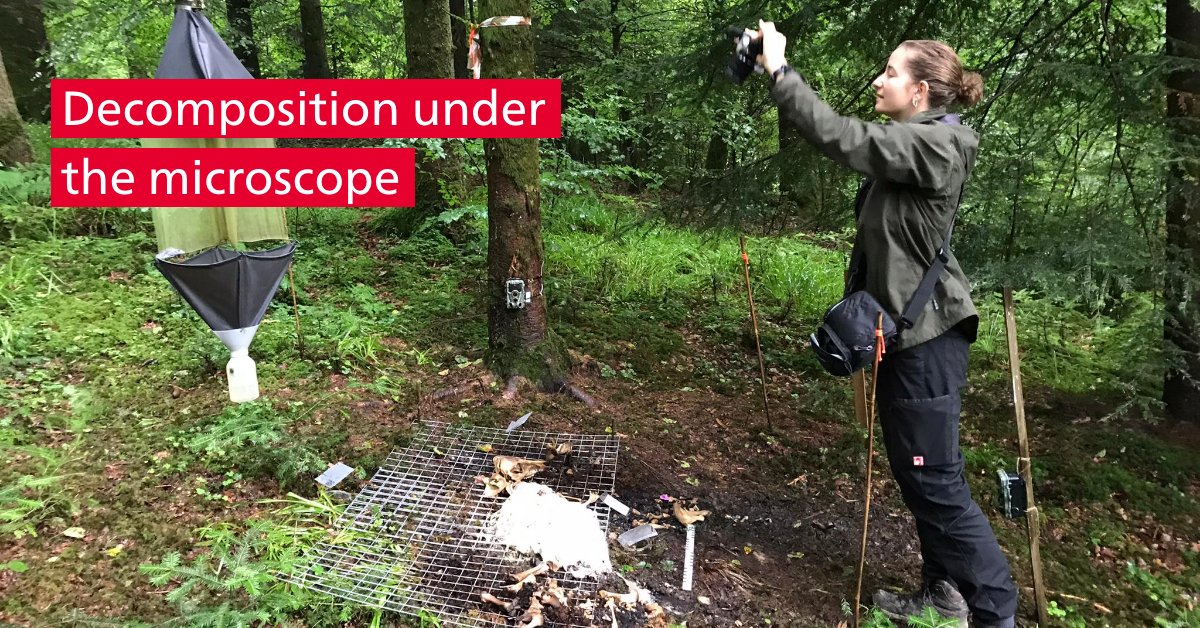 Universität Bern (@unibern) on Twitter photo What happens when a body decomposes? Lara Indra from the Institute of #ForensicMedicine at #unibern investigates this using pig cadavers. Her #research helps to solve forensic cases: sohub.io/azen.
#Anthropology <a href="/MedFacultyUniBE/">Faculty of Medicine, University of Bern</a> What happens when a body decomposes? Lara Indra from the Institute of #ForensicMedicine at #unibern investigates this using pig cadavers. Her #research helps to solve forensic cases: sohub.io/azen.
#Anthropology <a href="/MedFacultyUniBE/">Faculty of Medicine, University of Bern</a>