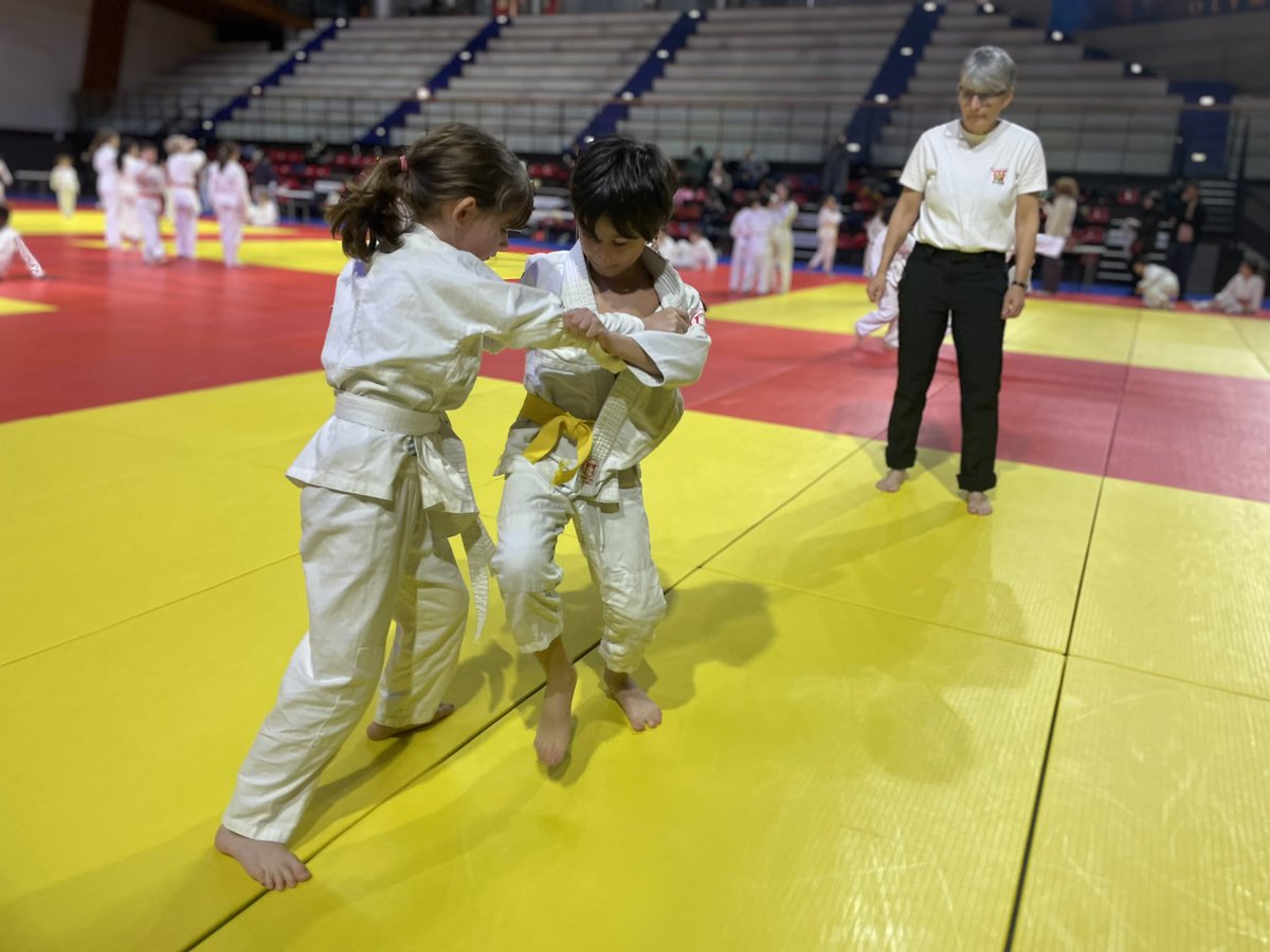 Aujourd’hui en cette année Olympique #Paris2024 se déroule le trophée Perrocheau de l’USEP Paris à l’Institut Nationale du Judo @usepnationale