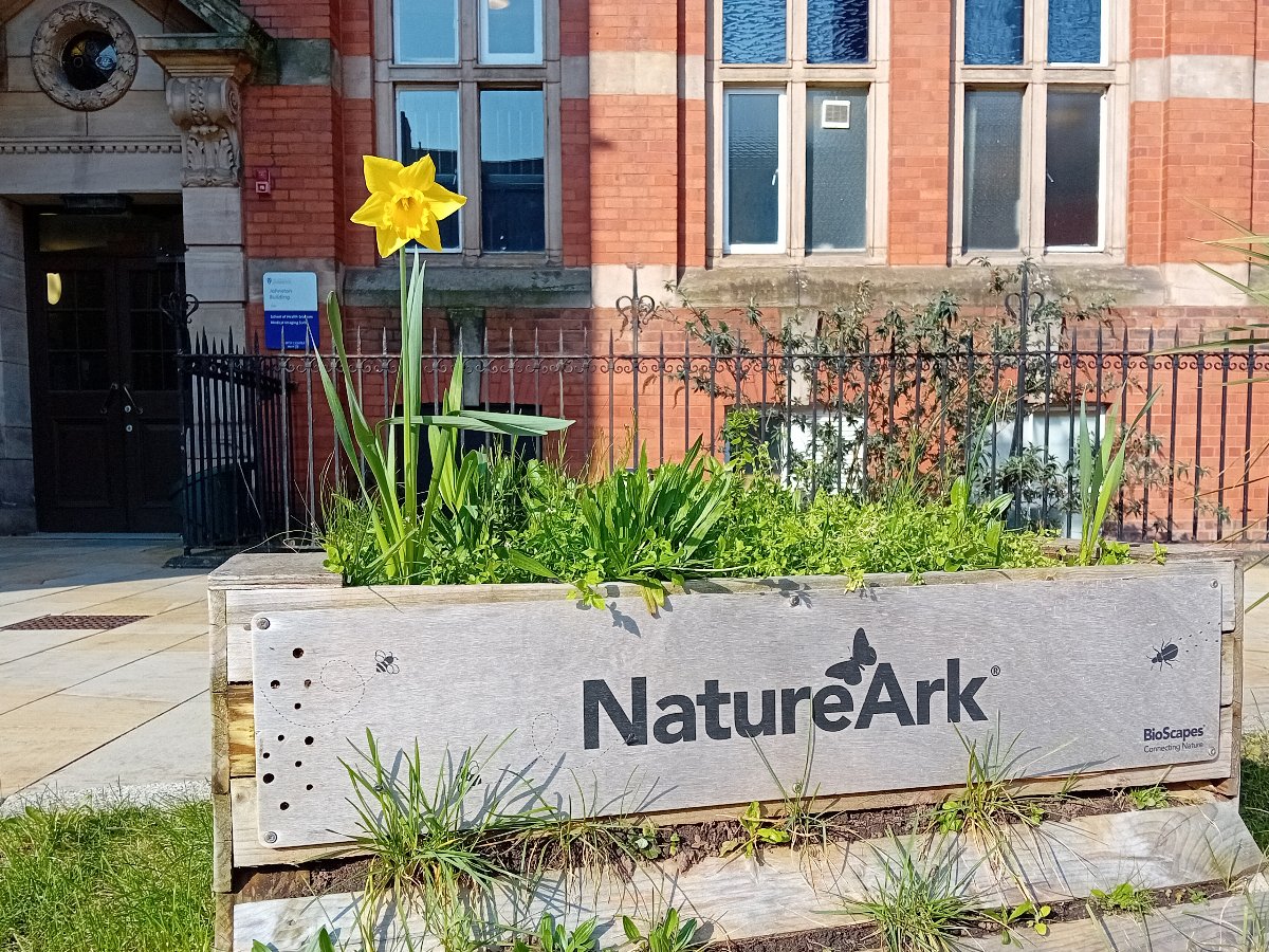 Spring has sprung on campus!🌼@livunisustain @BioScapesUK