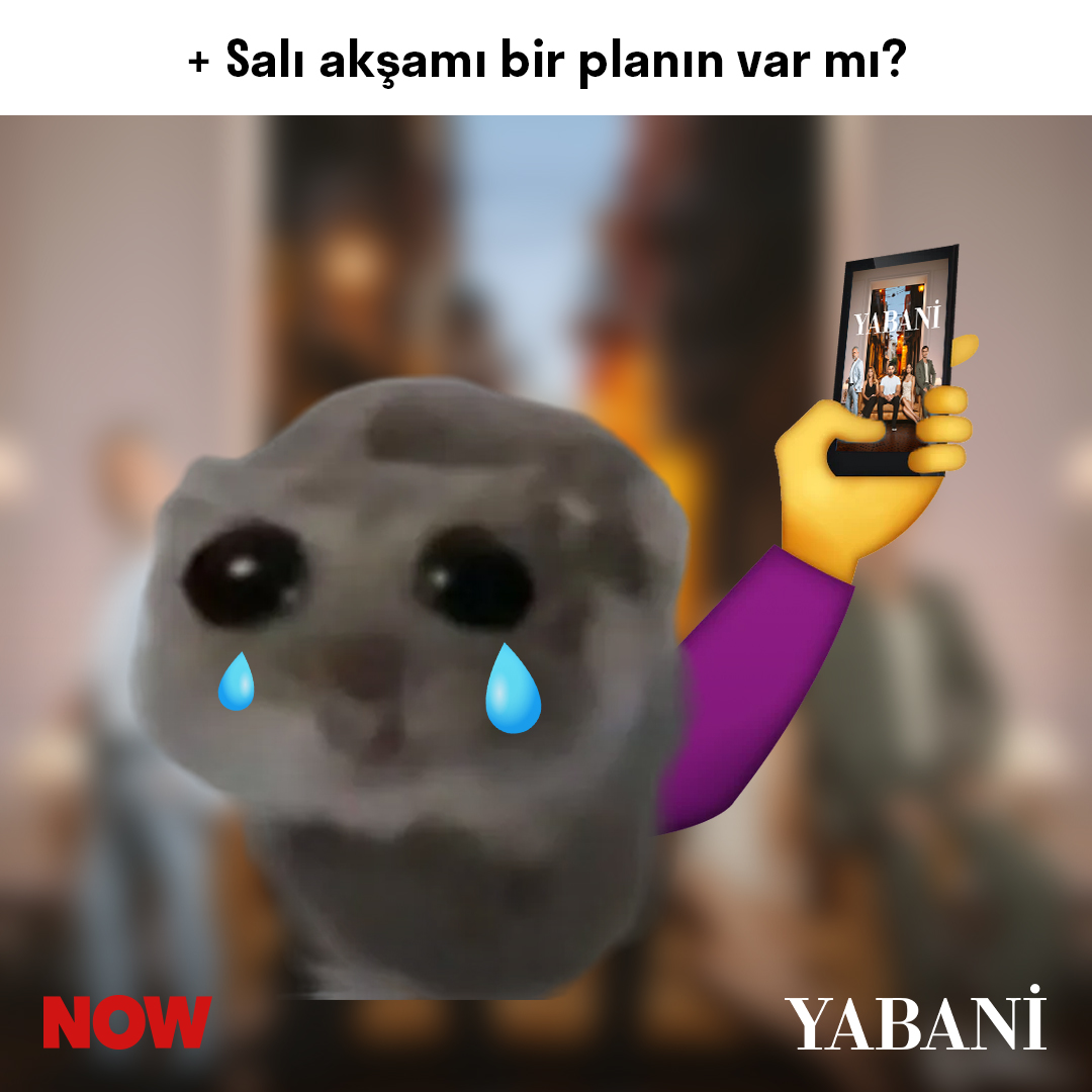 yabanidizisi's tweet photo. Yine bir akım, yine biz. 🤩
Salı akşamlarını bizlere ayıran herkese teşekkür ederiz. ❤️

#Yabani yeni bölümüyle Salı 20.00’de NOW’da.

@nowtvturkiye https://t.co/0Y1tApKtNU
