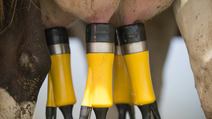 Welsh dairy farmers charged £384,475 for fraudulent TB eartag swapping .. Read more &gt;&gt; bit.ly/48JTILp #SafeFarms #SafeFood