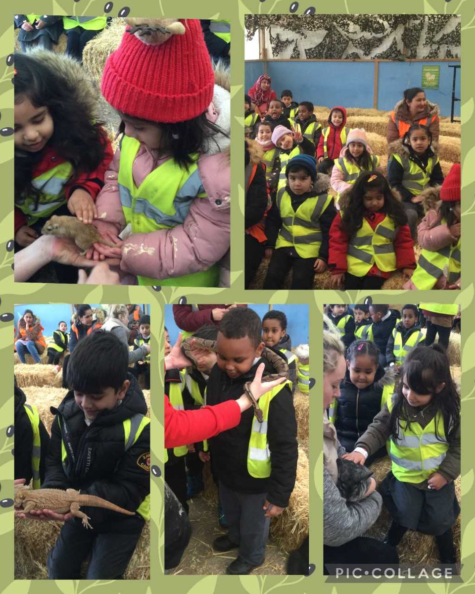 FeatherstonePr2's tweet photo. Reception had a fantastic time visiting Hounslow Urban Farm to see our animal friends!ย Children had the chance, to stroke, feed and hold the farmย animals. #urban_farm_fun #farmtopic #handsonlearning #understandingtheworld https://t.co/zOfzAHQA7C