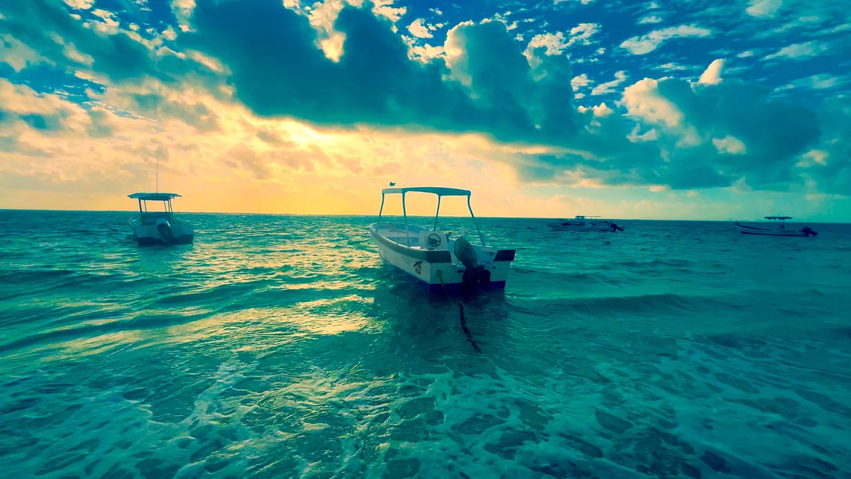 Brian Aspinall tweet media