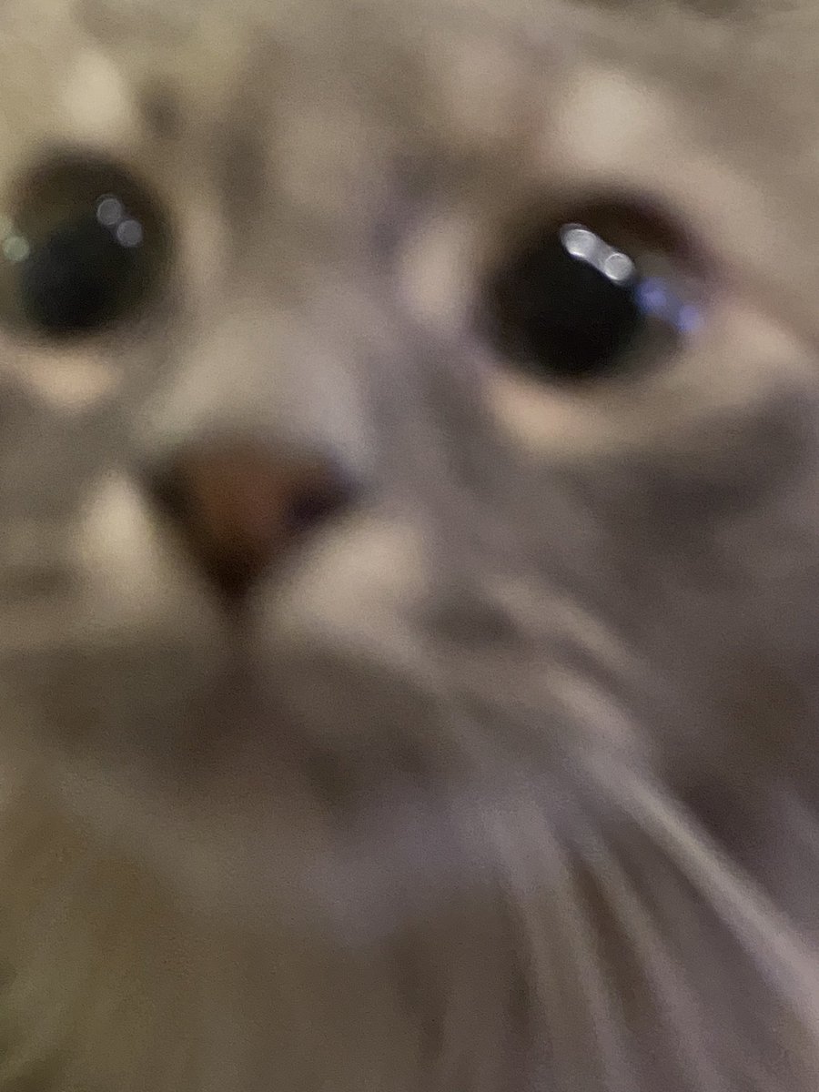 zaonen's tweet image. 