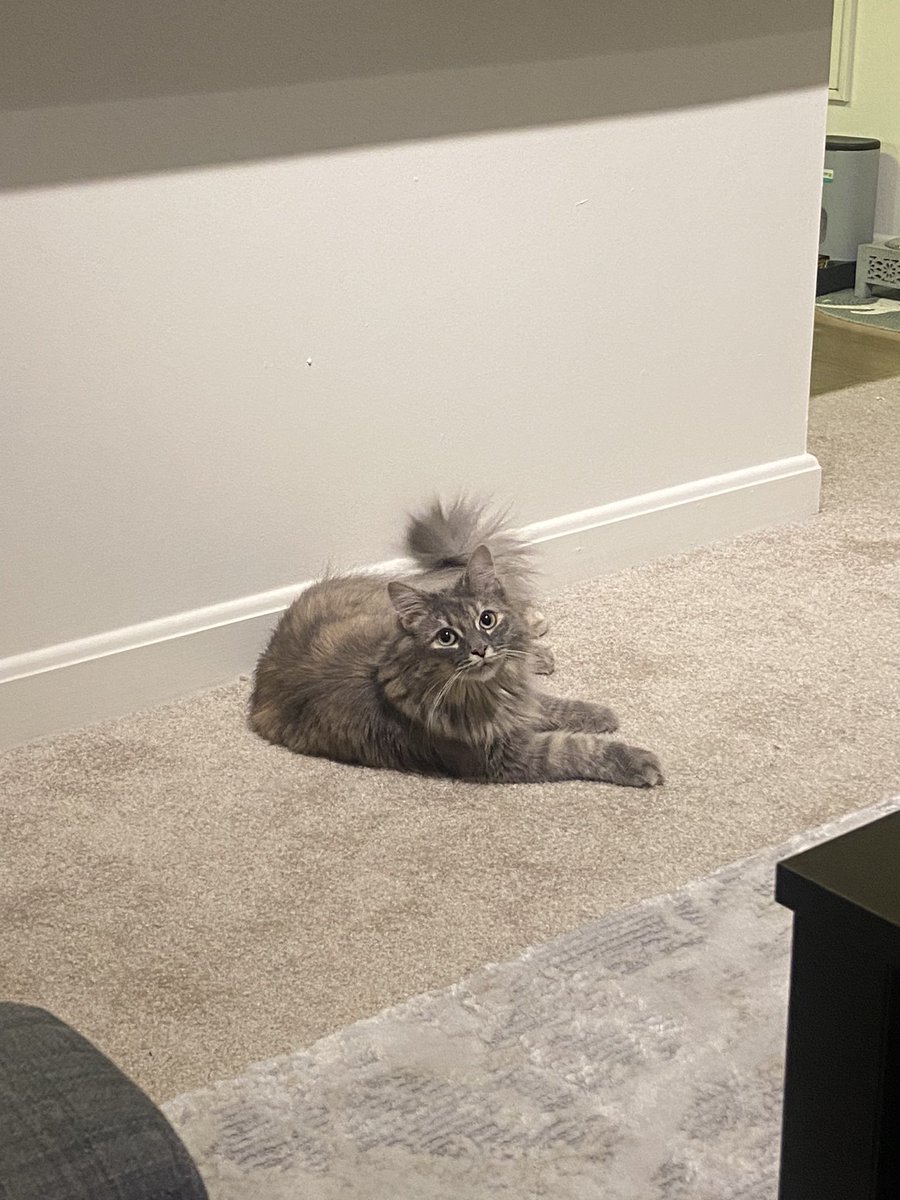 zaonen's tweet image. 