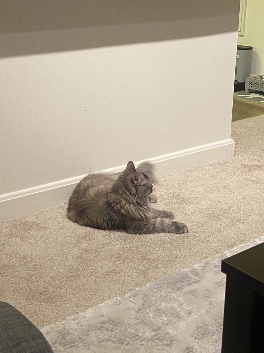 zaonen's tweet image. 