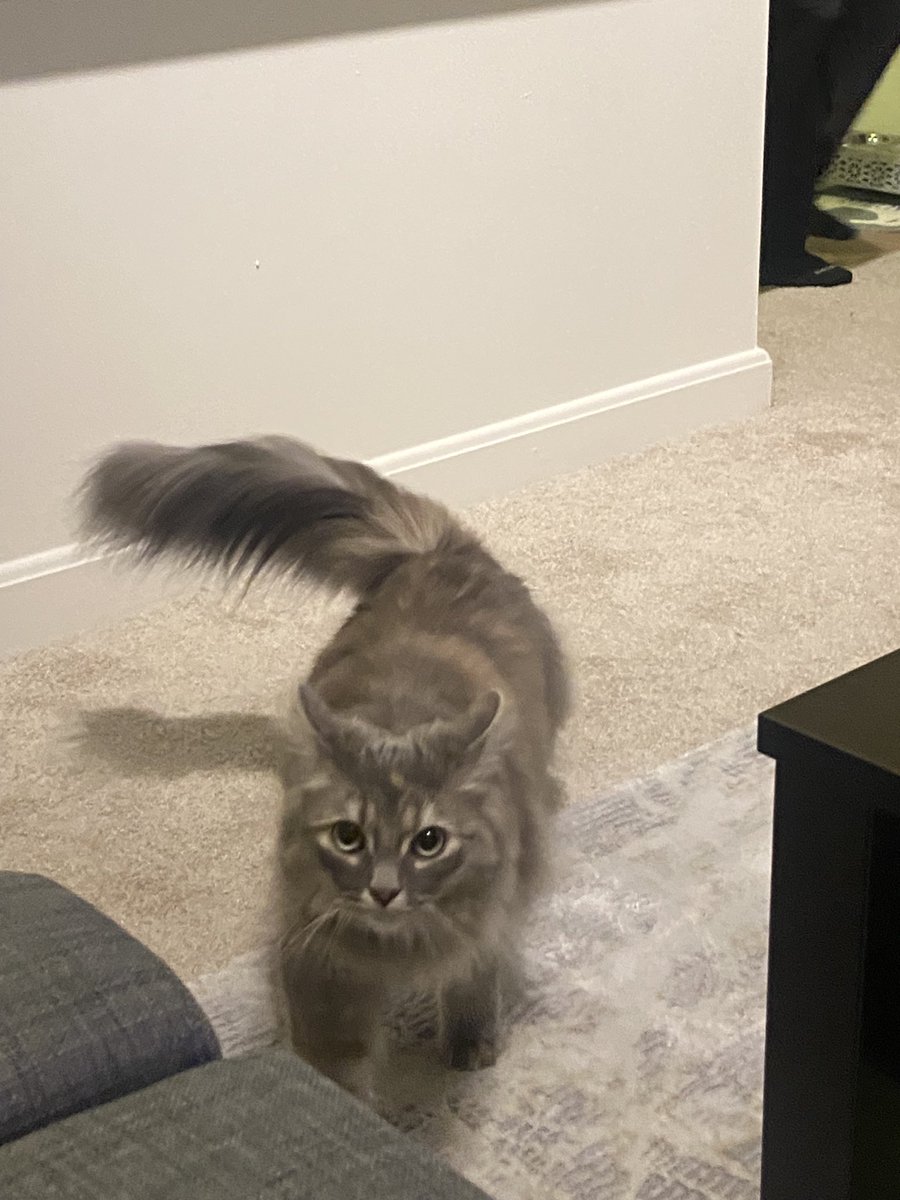 zaonen's tweet image. 