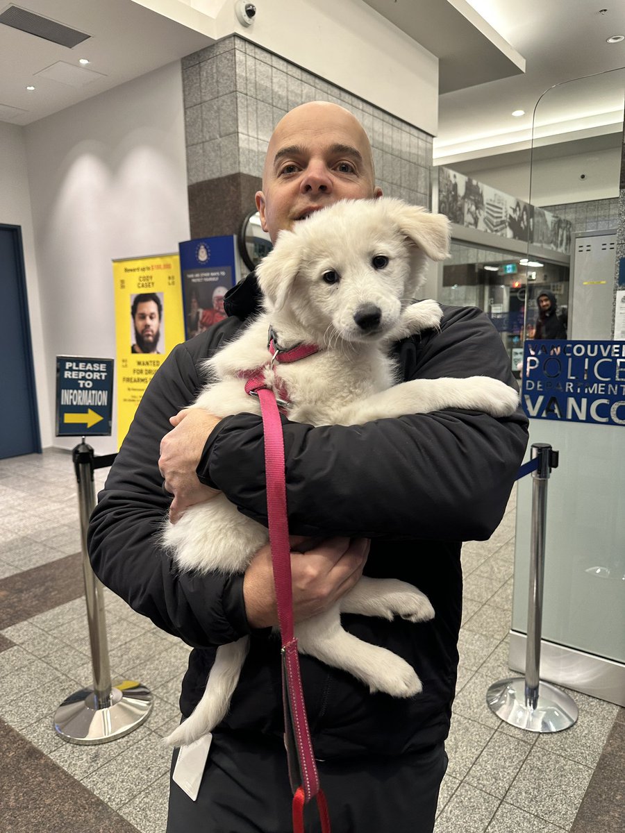 Found puppy! This cute and friendly little girl was walking around W 5th Ave and Cambie, dragging a pink and red leash. 

DM us if you recognize her.
