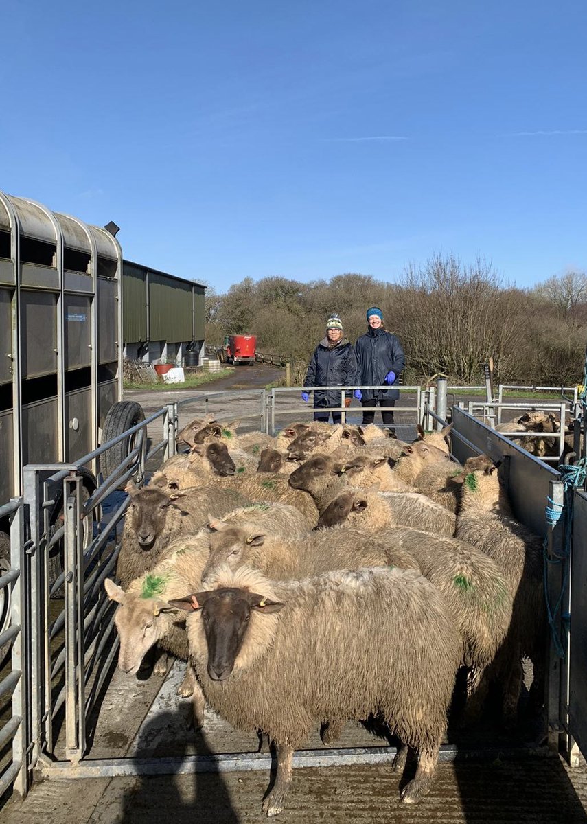 Glorious day for sampling @FarmPlatform supported by manager Bruce Griffith, Andy Jones, Susan & Charlie; and from @GeogBristol: Sydney @EnnsSydney5474 and Ana @AquaCyanConsult.