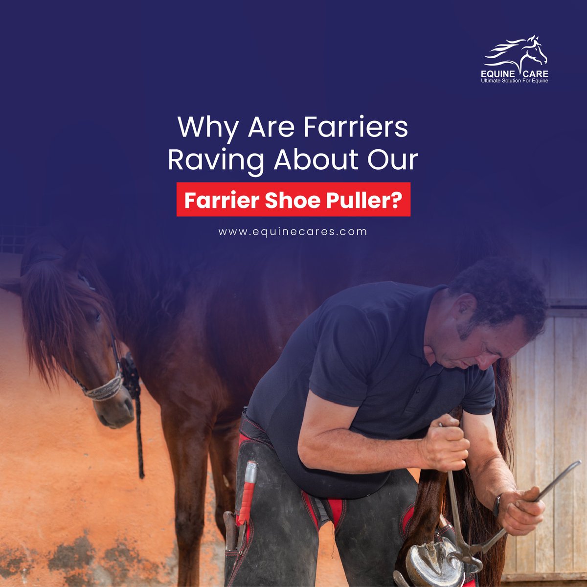 👉 Unveiling the Reasons Behind the Buzz:

Effortless Nail Removal

Time-Saving Efficiency

Built to Last

#farrierlife #equinecare #farriershoepuller #effortlessremoval #precisioncontrol #efficiency #durability #farriertools #supportivecommunity #elevateyourpractice