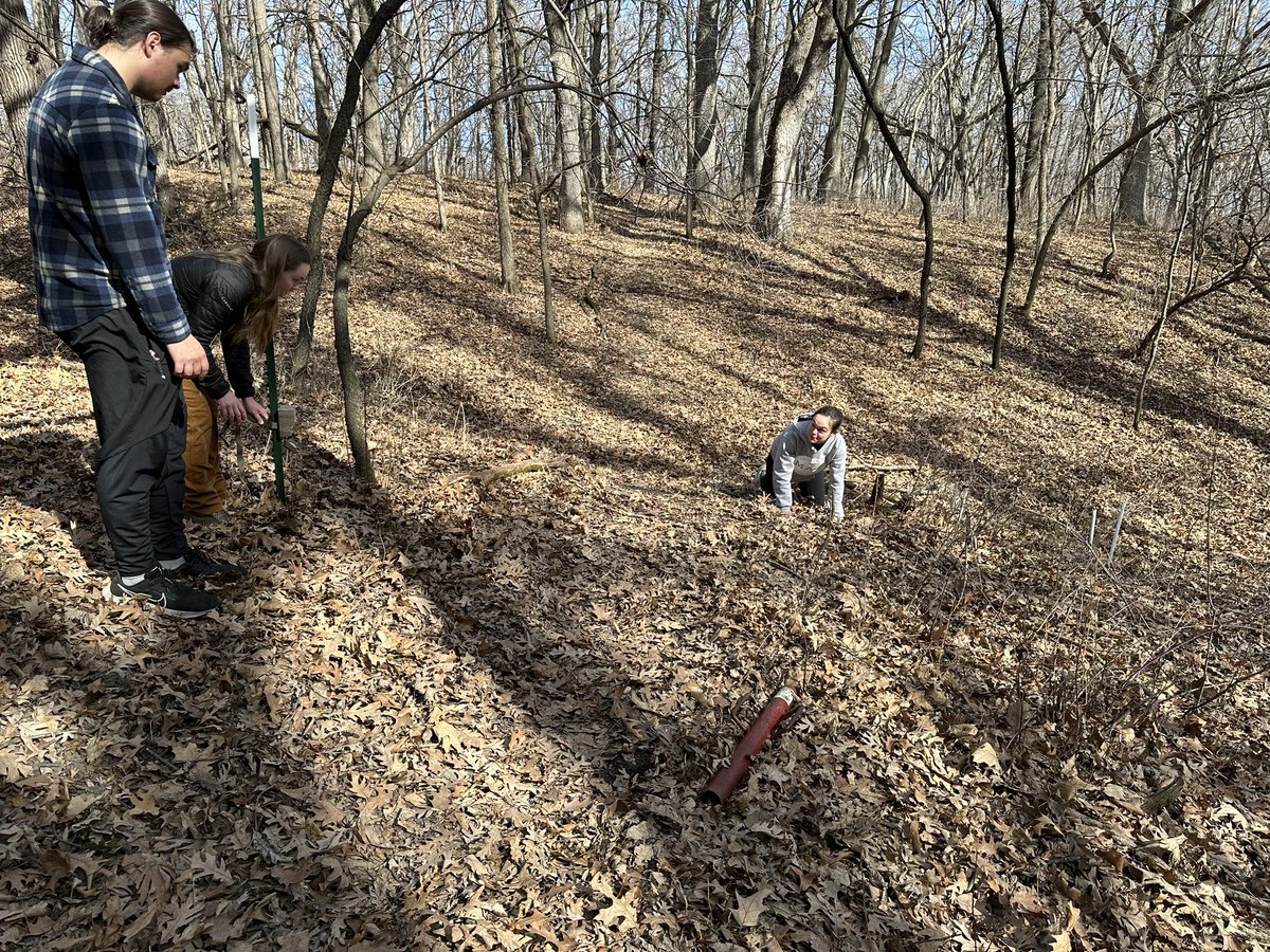 StotraChakraba2's tweet image. Had a great day outdoors at #ordwayfieldstation @Macalester with my #WildlifeMonitoringTechniques Course to set up camera traps in a paired (exclosure) study design to examine herbivory🌱🦌we beat the ticks (I think) &amp;amp; had a great time 🤩 #scienceEd #undergrads #AcademicChatter