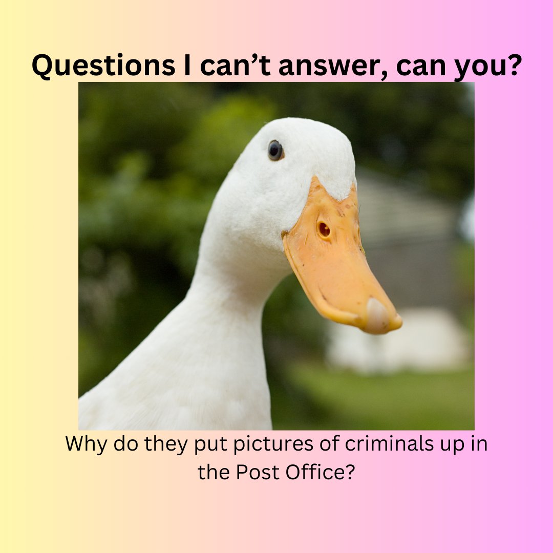 swank_lisa's tweet image. Let's goto the post office and fill out your change of address form today and I will mail everyone a picture of your new home! Ready to get started? Contact me today! SwankyHomesAZ.com
 #luckyduckrealty #changeofaddress #newhome #1sttimehomebuyers #azrealtor #desertliving