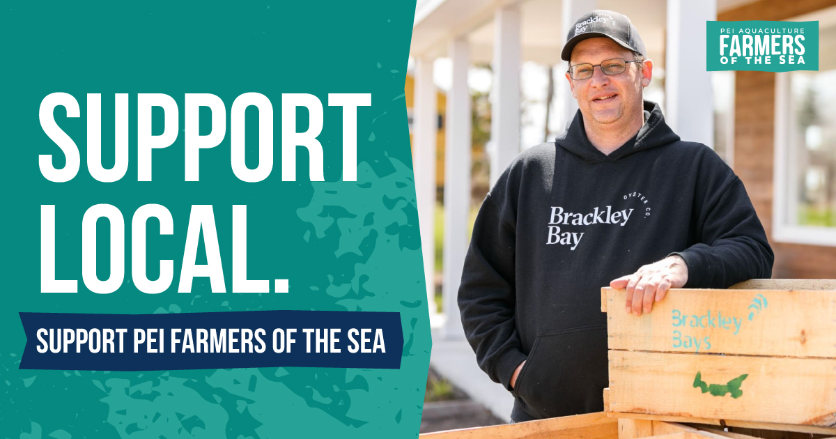 Aquaculture isn't just about seafood—it's about jobs and economic growth, too! 📈
Aquaculture doesn't take away jobs from traditional fisheries—it creates new ones!  Supporting Aquaculture means supporting your community and economy.
#PEIAquaculture #SustainableSeafood