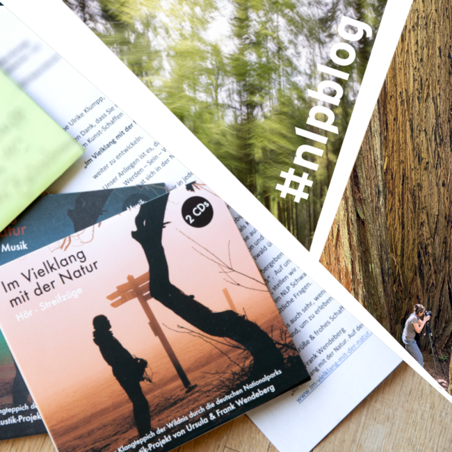 nlpschwarzwald's tweet image. Neues aus dem #nlpblog:

Bild und Klang, Klang und Bild

Mehr: nationalpark-schwarzwald.de/de/nationalpar…

#NationalparkSchwarzwald #Nationalpark #Schwarzwald #nlpschwarzwald #eineSpurwilder #Kunst #bawü #TheLänd #BadenWürttemberg #Klang #Musik