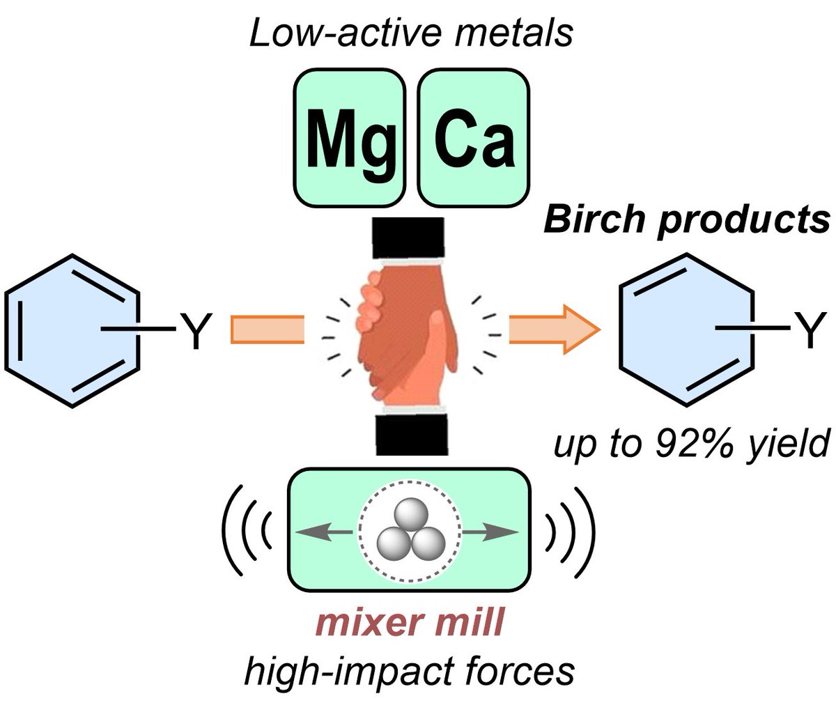 Struggling with alkali metals in Birch reduction? Facing a Li supply shortage? Our team @TallinnTech reports another #mechanochemistry breakthrough: using accessible Ca and Mg for Birch reductions. Just accepted in @angew_chem onlinelibrary.wiley.com/doi/10.1002/an… @RiinaAav @JagaNallaparaju