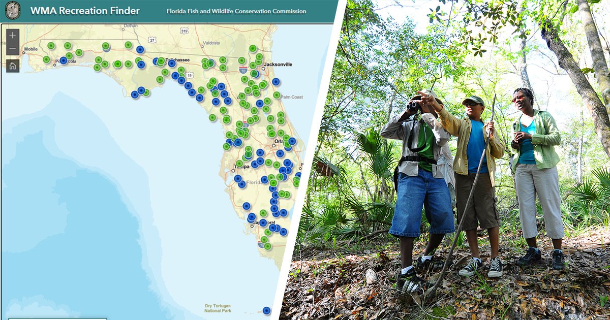 Paula4FLHouse47's tweet photo. Discover your perfect #Florida outdoor escape with the new @MyFWC WMA Recreation Finder: https://t.co/oOqf1lyiVb #WMAzing https://t.co/WbLNVOFLlw