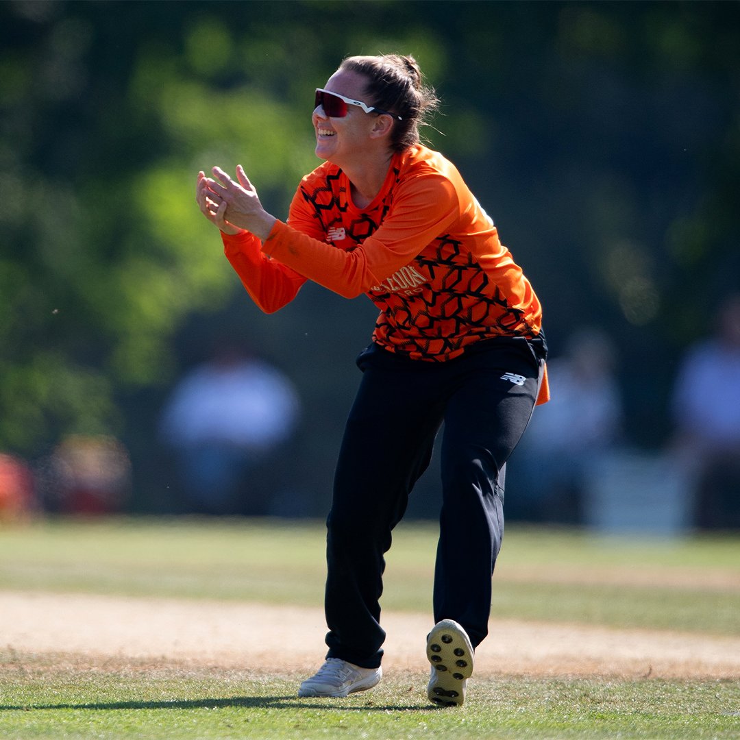 Southern Vipers tweet media