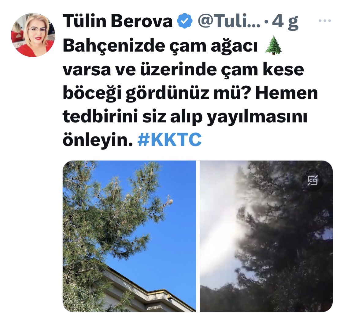 Hani zararlı diye hükümet yıllardır ilaçlama yapmıyor ya <a href="/TulinBerova/">Tülin Berova</a> . O zaman diğer canlılara zarar vermez miyiz? Ayrıca öyle bir bütçemiz yoksa ne yapacağız? Mesela Alevkayası yolu, Esentepe ilkokulu ve ortaokulu çamlar içinde onları hangi bütçe ile kim ilaçlayacak? #KKTC