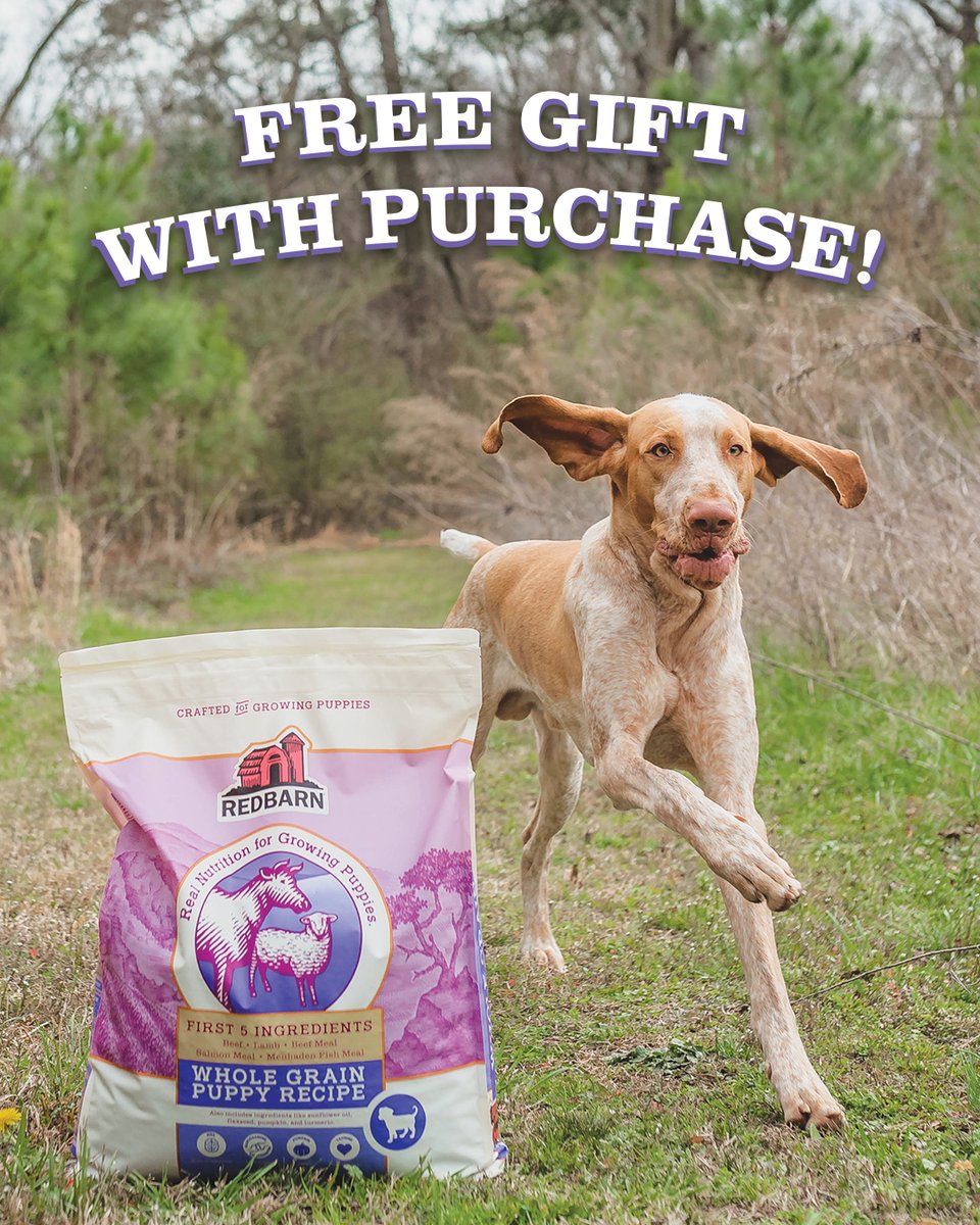 4health dog food retailers sales