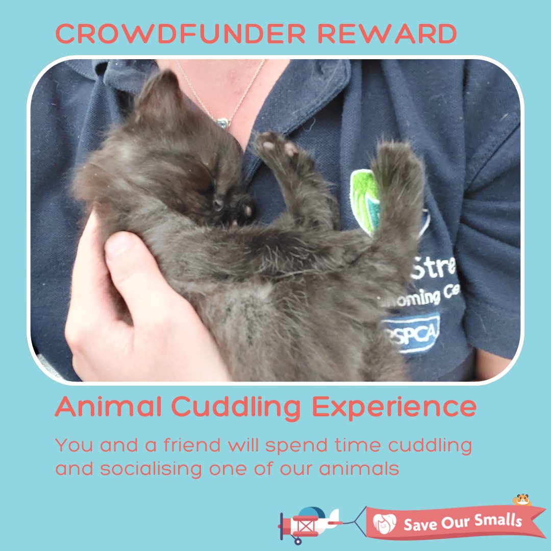 You and a friend can spend time cuddling and socialising one of our animals 🥰 by donating £500 to our Save Our Smalls fundraiser and claiming our 'Animal Cuddling Experience' reward. There are only 2 up for grabs, so don't miss out 🤩 Get involved here ➡ crowdfunder.co.uk/p/saveoursmalls