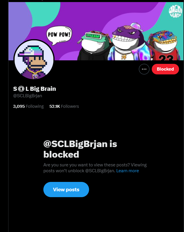 Looks like <a href="/SOLBigBrain/">S◎L Big Brain</a> has an impersonator. Guy crept into our DMs. lol