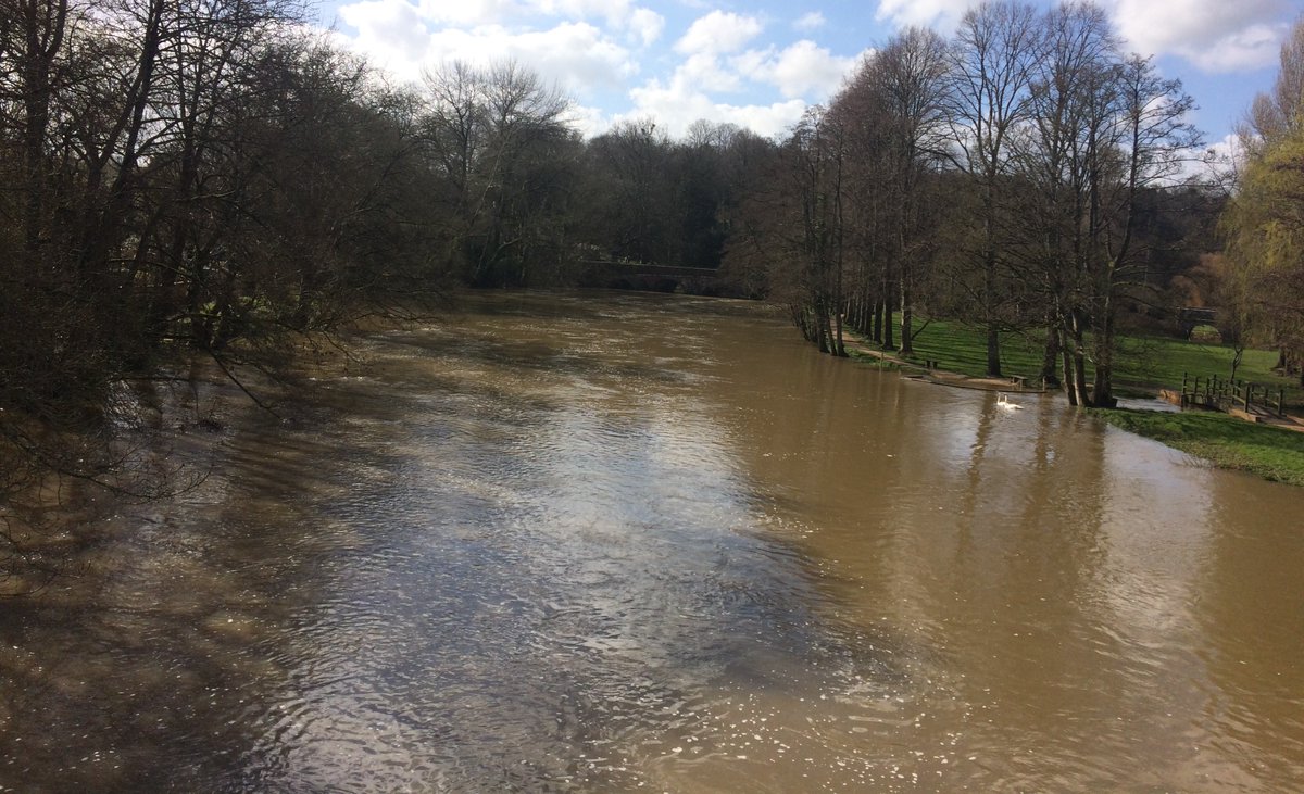 Walking across the Mortain Bridge, which crosses the River Stour in Blandford.

 #mortain #bridge #footpath #river #riverstour #blandford #blandfordforum #dorset #flooded #Overflow