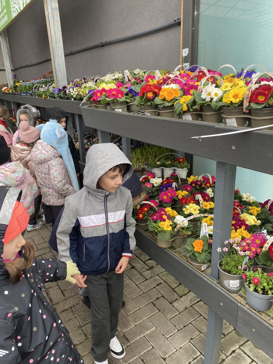 Trip to the Garden Centre! Our theme this month in Aistear is ‘The Garden Centre’. We have been learning all about different flowers, gardening tools and all things planting 🌸