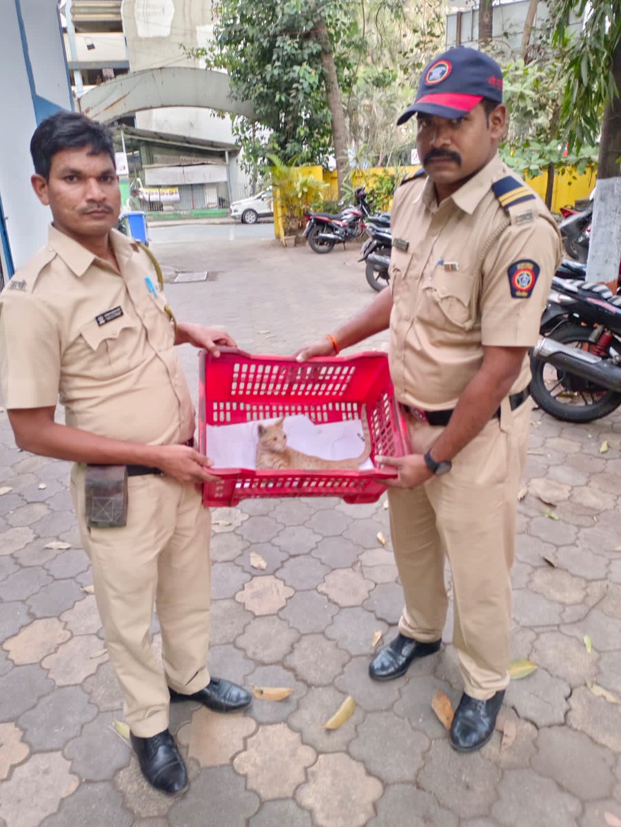 Navimumpolice's tweet photo. @_deepak_verma पोलीस अंमलदार यांनी जखमी मांजरास प्राण्याचे डॉक्टर कडे उपचार केले असून सदर मांजरास प्राणी मित्र घेऊन जात आहेत . https://t.co/unbIA6Mub6