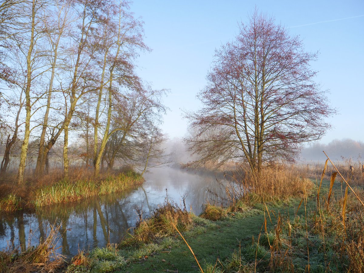 For the first time, we're offering guided walks along the River Test, a rare chance to get close to this unique habitat and learn about the work we do to enhance and protect it. Tuesdays & Wednesdays 7 March-25 Sept, bookable at reception on the day. bit.ly/MottisfontRive…