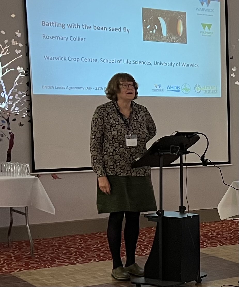 British Leeks (@britishleeks) on Twitter photo Rosemary Collier, Warwick University, sharing the latest research undertaken to delegates battling with bean seed fly at the British Leeks Agronomy Day
<a href="/uniofwarwick/">University of Warwick</a> #leeks #britishgrowers #freshveg <a href="/planttape/">PlantTape - automated transplanting system</a> <a href="/BASFcropUK/">BASF Agricultural Solutions UK</a> #nunhems Rosemary Collier, Warwick University, sharing the latest research undertaken to delegates battling with bean seed fly at the British Leeks Agronomy Day
<a href="/uniofwarwick/">University of Warwick</a> #leeks #britishgrowers #freshveg <a href="/planttape/">PlantTape - automated transplanting system</a> <a href="/BASFcropUK/">BASF Agricultural Solutions UK</a> #nunhems