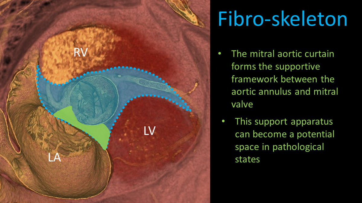 DukeRadiology tweet picture