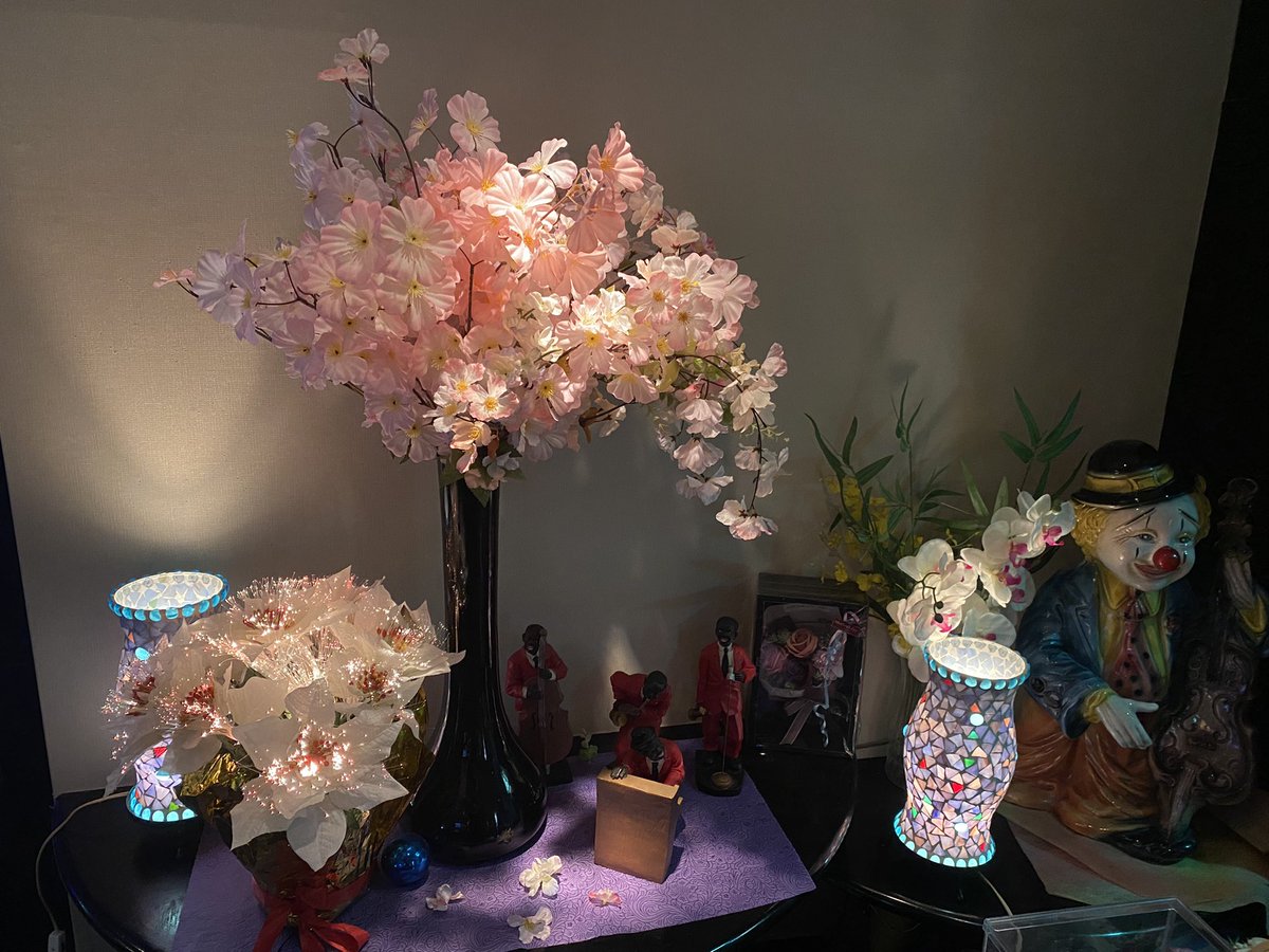 bigegg0913's tweet photo. もうポカポカ春ですね〜‼️花粉で死んでます、、笑笑
あったかくなるとお花見したくなりますね♪ビッグでも、春使用になってます🥰ビッグでもお花見しちゃおか🌸 https://t.co/gVCZz0JZcW